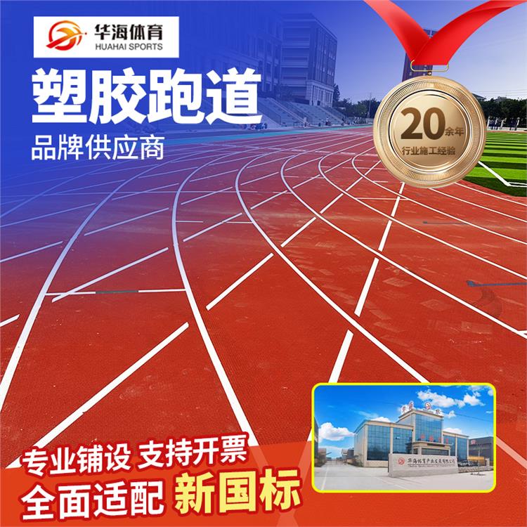 保定市预制型跑道预制型橡胶跑道 - 厂家